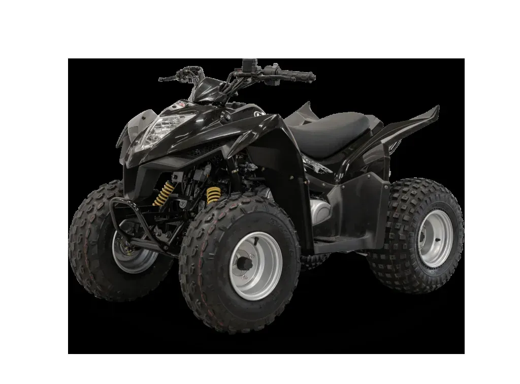 Kymco Maxxer 90, ATV